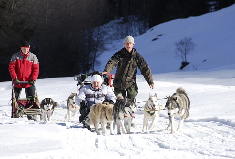 Huskys kennenlernen