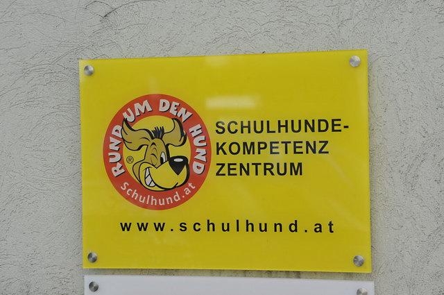 ernährungsberatung hund in der nähe