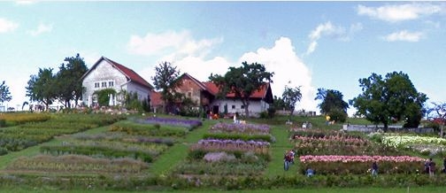 Garten der Geheimnisse auf sunny.at