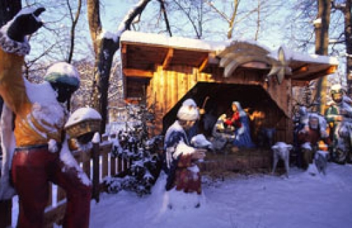 Weihnachtszeit im Lainzer Tiergarten