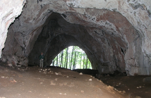 Erlebnis Drachenhöhle bei Mixnitz