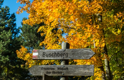Herbstwanderung im Naturpark Leiser Berge