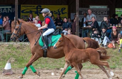 Fest der Pferde in Rudersdorf