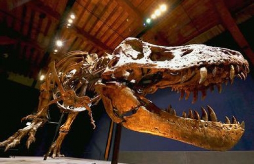 Die Welt der Dinosaurier - Ausstellung in Salzburg