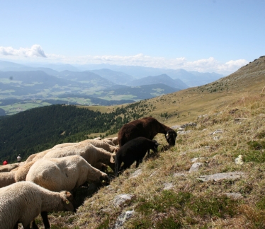 ©Naturpark Zirbitzkogel - Grebenzen