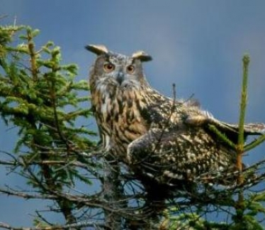 ©naturpark_weissensee_1