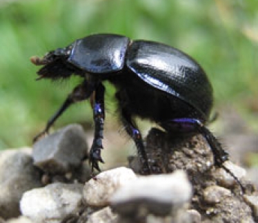 ©Foto: Naturpark Weißbach