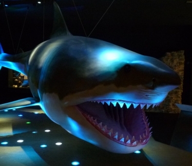 ©Kindergeburtstag im Schlossmuseum Linz