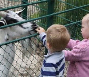 ©zoo-linz.at