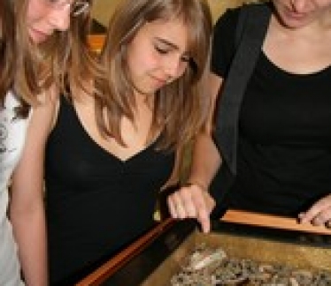 ©www.dioezesanmuseum.at