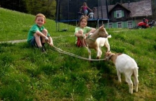 Ferienbauernhof Dür in Alberschwende