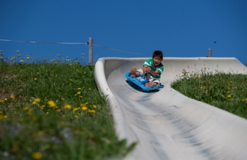 Sommerrodelbahn am Biberg