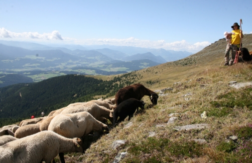 Naturpark Zirbitzkogel - Grebenzen