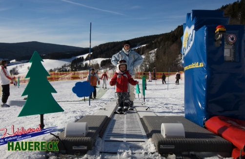 Schigebiet Hauereck Ski-Waldheimat