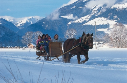 Pferdekutschen_oberfellach_2