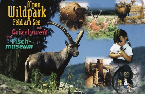 alpen_wildpark_2