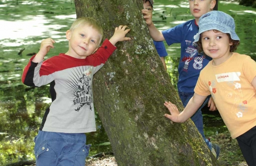 Erlebnisführungen am waldpädagogischen Spielplatz "Am Himmel"