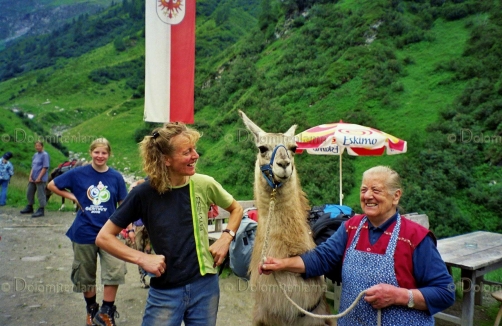 Lamatrekking in Osttirol