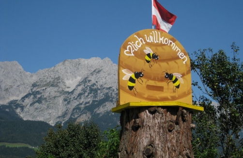 Tiroler Bienenwelt
