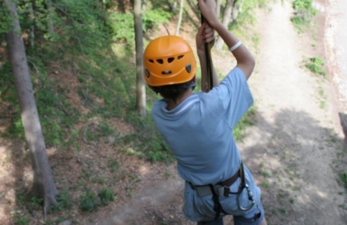 Flying Fox