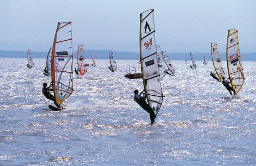 Burgenland Tourismus / Sabine Jellasitz - Surfen am Neusiedlersee