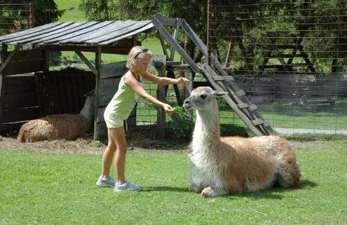 Foto: Wildpark Untertauern