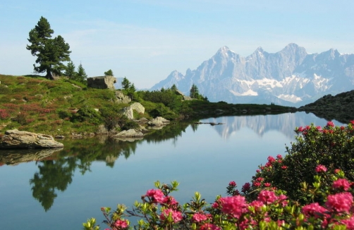 Fest zur Almrauschblüte