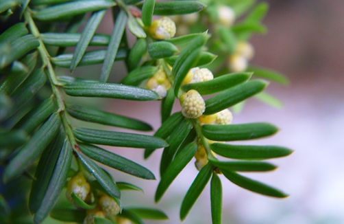 Schulführungen im Botanischen Garten Wien