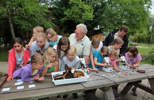 Sommerfest im Nationalparkhaus in der Lobau