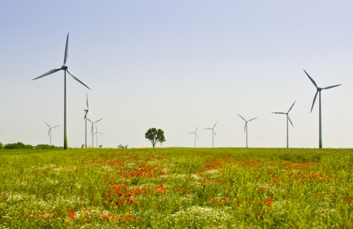 BEWAG / Austrian Wind Power (Richard Neubauer