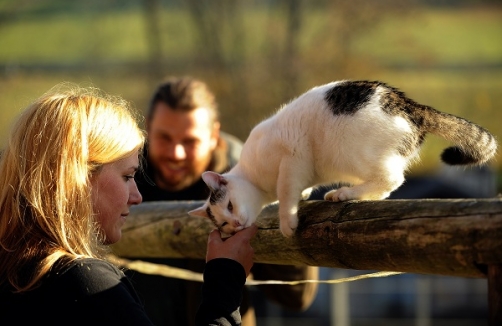 Tag der offenen Tür im Tierheim PFOTENHILFE Lochen