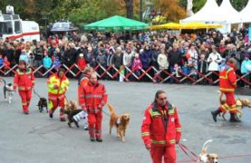 Wiener Sicherheitsfest