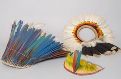 Brasilienreise im Museum für Völkerkunde
