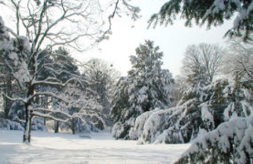 Rodelspaß im Luise Montag Park