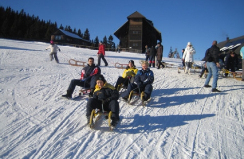 Salzstiegl Rodelbahn