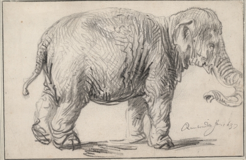 Albertina Wien