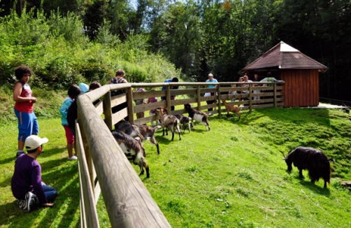 Naturschutzzentrum Bruck