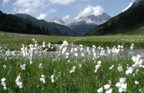 Foto: Naturpark Riedingtal