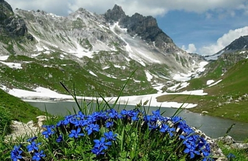 Foto: Naturpark Riedingtal