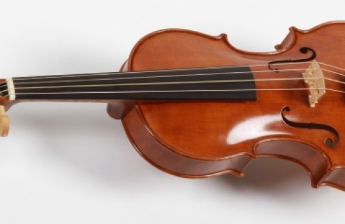 Wie wird eine Geige gebaut?