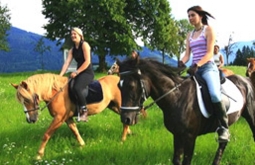 Reiten am Pürcherhof