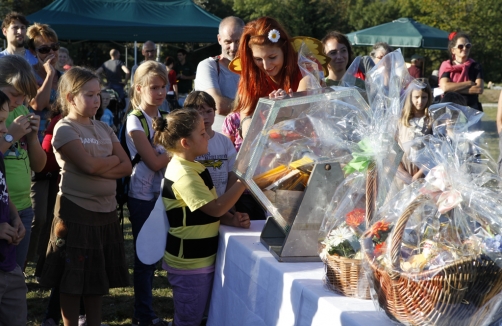 Bienenfest Am Himmel in Wien