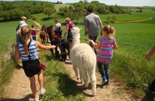 alpakafreizeitpark.at