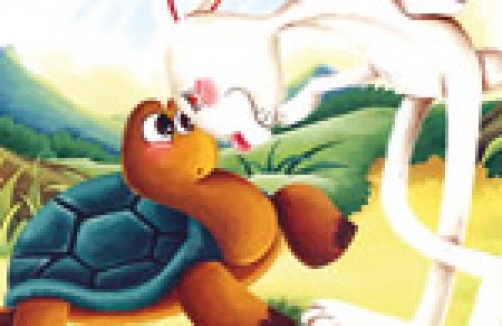 Hase und Schildkröte in Amstetten