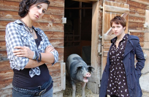 Trüffelschweine im Theater Akzent in Wien