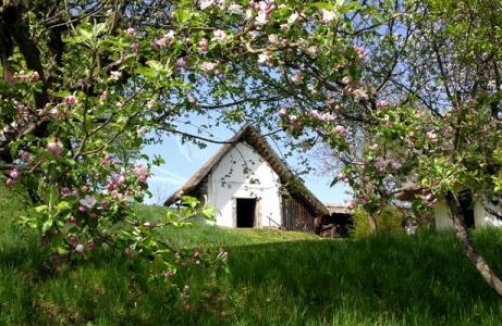 Freilichtmuseum Gerersdorf