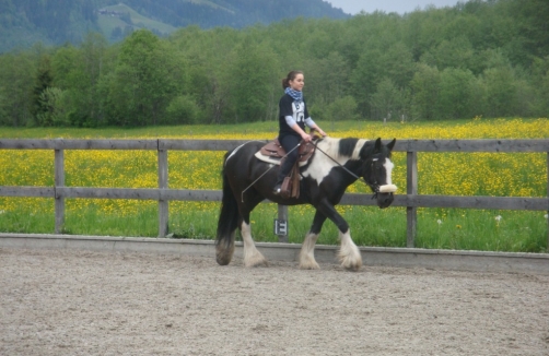 Kindergeburtstag auf der Kinderranch Hazienda