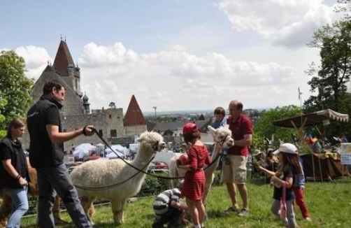 Gartenfreuden auf Burg Perchtoldsdorf