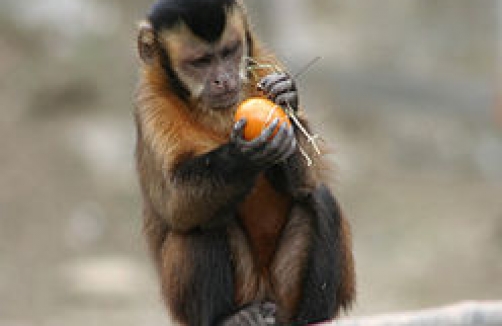 Zoo Salzburg