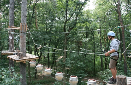 Schulausflug in den Waldseilpark Kahlenberg